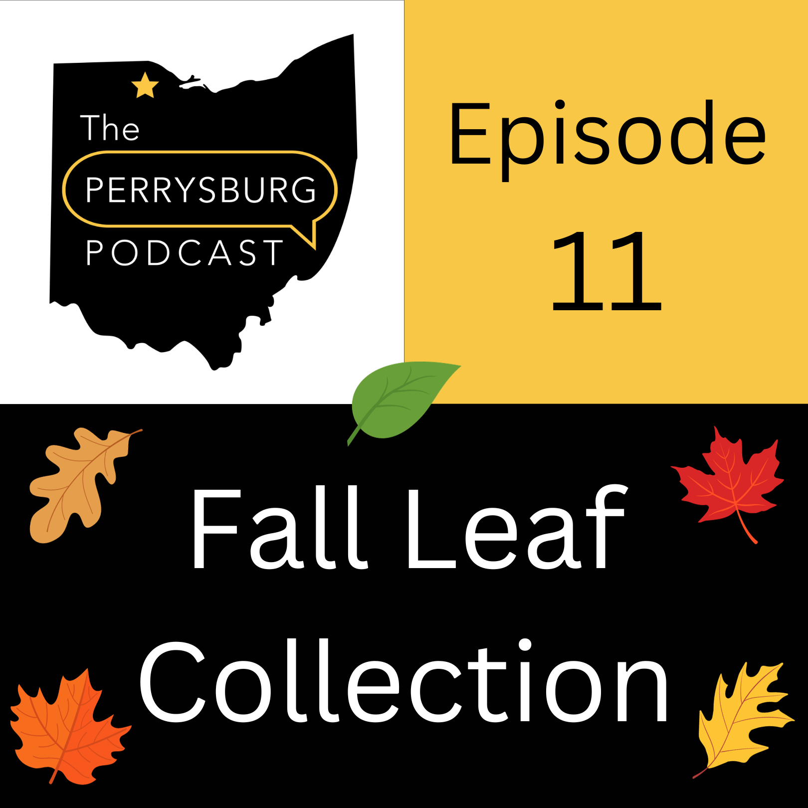 Fall Leaf Collection