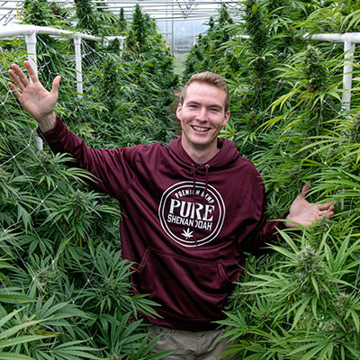 Walking in the Valley of Hemp at Pure Shenandoah