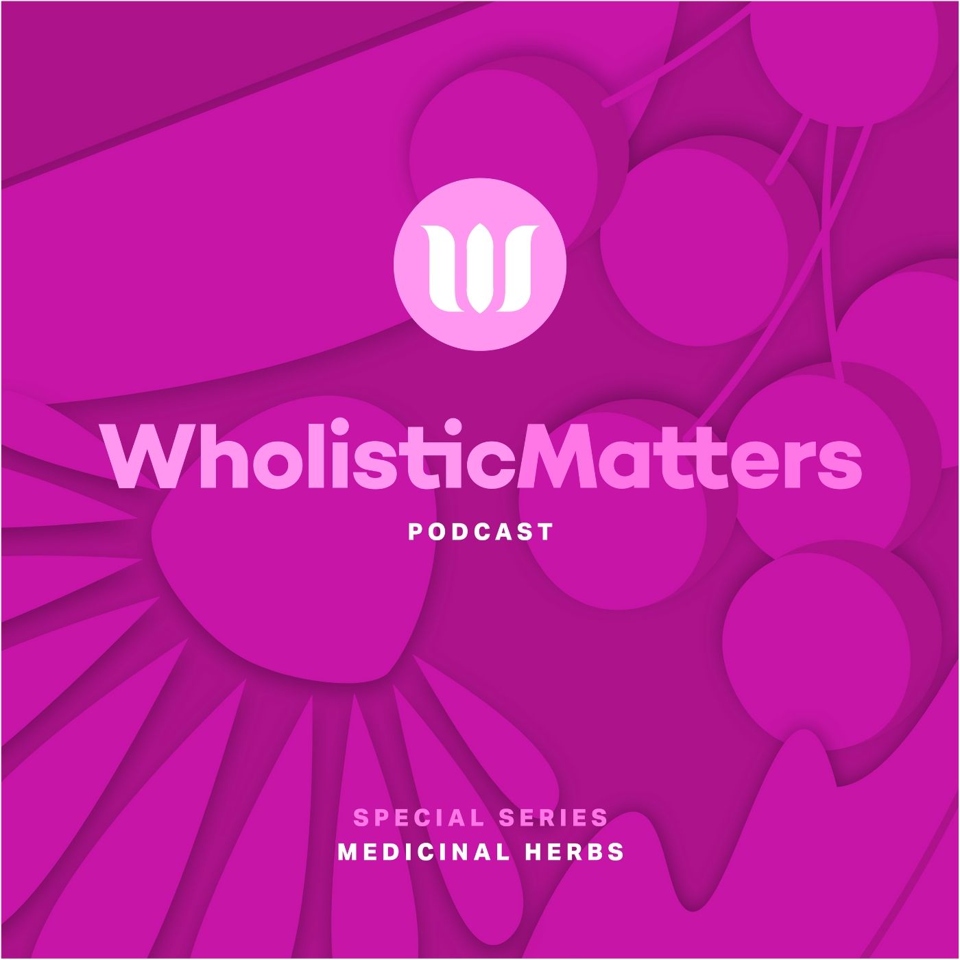 WholisticMatters Podcast Series